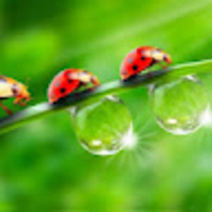 Meet your Posher, Teresa